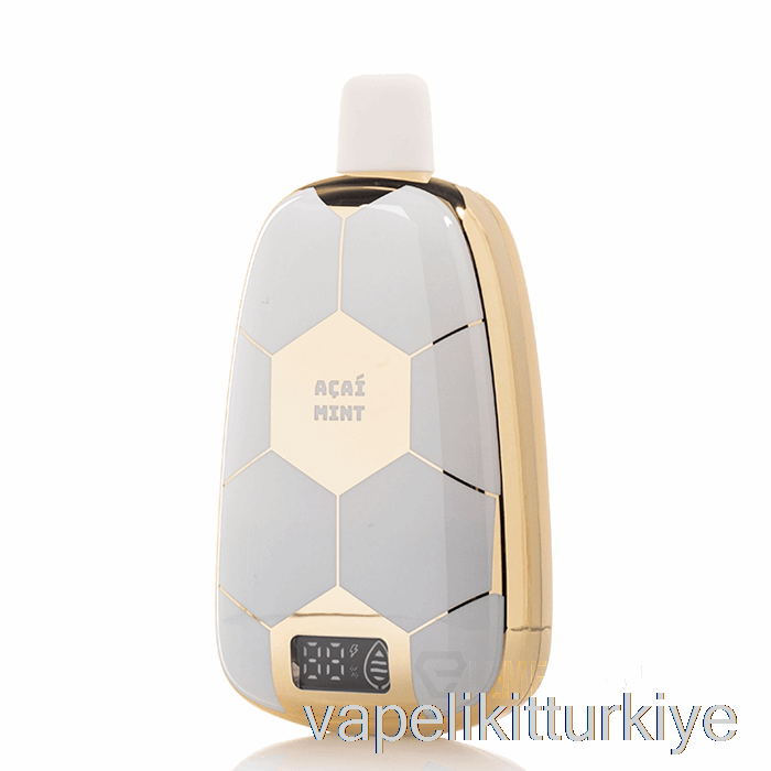 Vape Elektronik Sigara Ronaldinho 10 15k Tek Kullanımlık Acai Nane